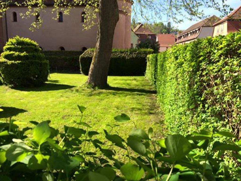 Hotel Du Herrenstein Neuwiller-les-Saverne ภายนอก รูปภาพ
